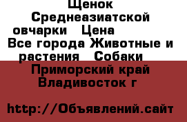 Щенок Среднеазиатской овчарки › Цена ­ 35 000 - Все города Животные и растения » Собаки   . Приморский край,Владивосток г.